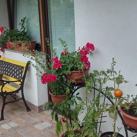 Darja Guesthouse Dob Εξωτερικό φωτογραφία