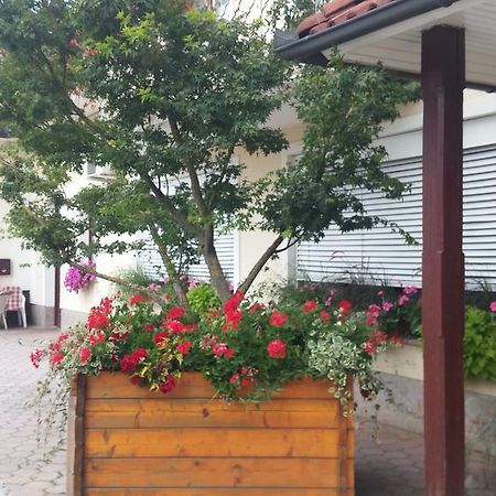 Darja Guesthouse Dob Εξωτερικό φωτογραφία