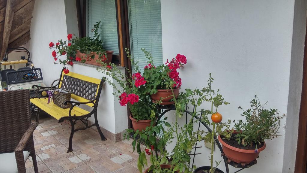 Darja Guesthouse Dob Εξωτερικό φωτογραφία