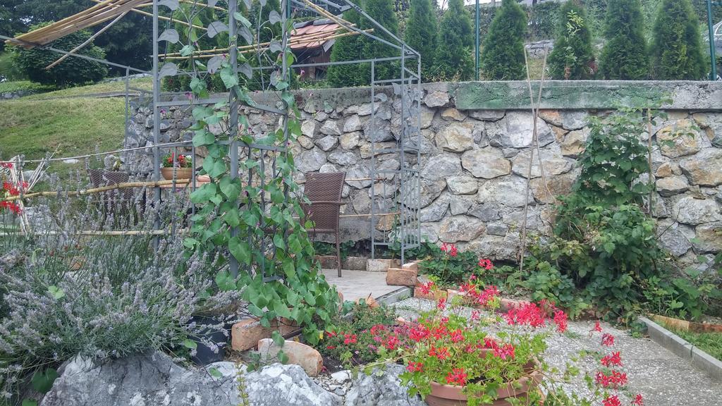 Darja Guesthouse Dob Εξωτερικό φωτογραφία